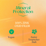 Mineral Protection Powder Brush LSF 30