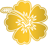 logo of Hawaiian Tropic DE
